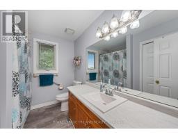 40 DAVID BLACKWOOD DRIVE - 28
