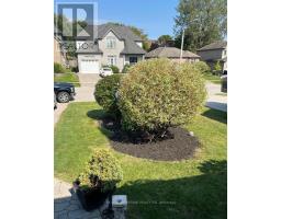 12 HENDERSON COURT - 25