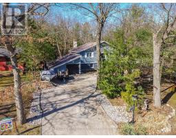 10161 ANDREA STREET - 2