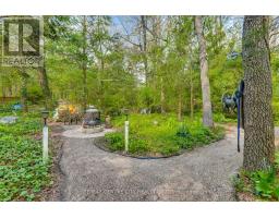 10161 ANDREA STREET - 40