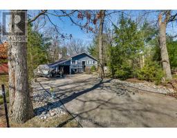 10161 ANDREA STREET - 43