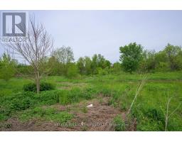 99 - 1010 FANSHAWE PARK ROAD E - 2