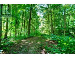 14653 CURRIE ROAD - 34