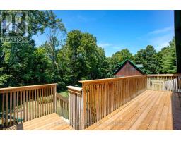14653 CURRIE ROAD - 39