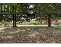 266 ALMA STREET - 16