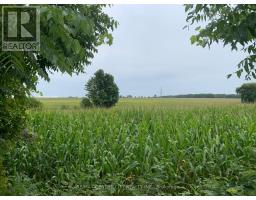 104 WALKER ROAD - 4