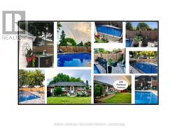 226 RAINBOW AVENUE - 37