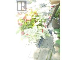 55 MARTINET AVENUE - 47