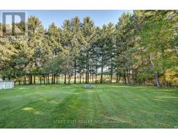 35242 SCOTCH LINE - 42