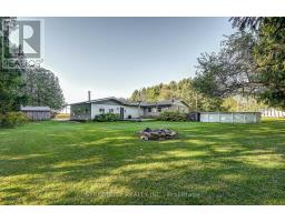 35242 SCOTCH LINE - 43