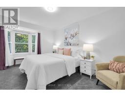 413 OLD WONDERLAND ROAD - 17