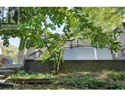 413 OLD WONDERLAND ROAD - 40