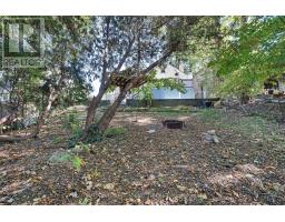 413 OLD WONDERLAND ROAD - 41