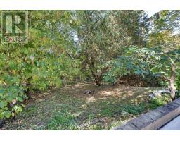 413 OLD WONDERLAND ROAD - 43