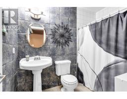 4 - 19 ANDERSON STREET - 17