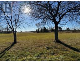 8603 VANCE DRIVE - 4