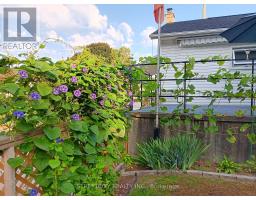 156 MAPLE STREET - 35