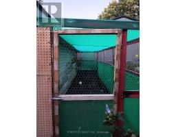 156 MAPLE STREET - 37