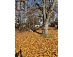 283 RIDOUT STREET - 3