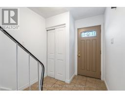 241 HOMESTEAD CRESCENT - 3