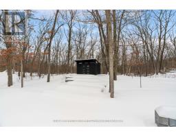 10143 PINERY BLUFFS ROAD - 42