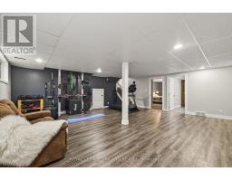 11565 SPRINGFIELD ROAD - 19