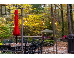 10092 LAKESHORE ROAD - 46