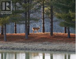 1303 SANDY SOMERVILLE DRIVE - 47