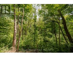 46299 NORTH STREET N - 35