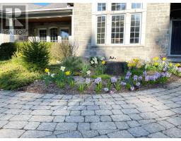 9389 ELVIAGE DRIVE - 5