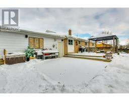 258 MARY STREET - 46