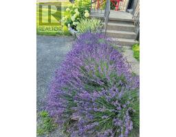 352 HALE STREET - 49