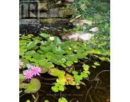 632 THORNWOOD DRIVE - 42