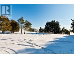 21477 SPRINGFIELD ROAD - 10