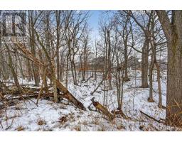 44 MUIRFIELD DRIVE - 43