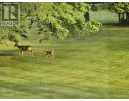 9432 RICHMOND ROAD - 44