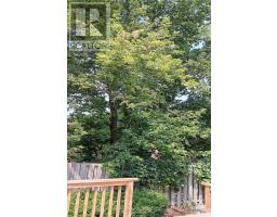 14 - 155 KILLARNEY ROAD - 41