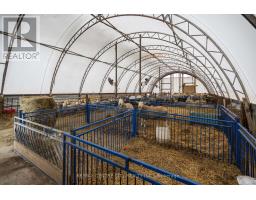 54694 CALTON LINE - 7