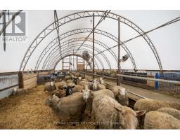 54694 CALTON LINE - 8