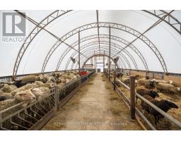 54694 CALTON LINE - 9