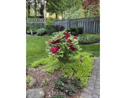 32 CHEROKEE ROAD - 48