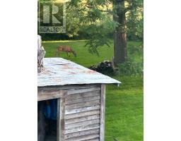 4379 CATHERINE STREET - 3