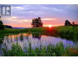 12675 SIXTEEN MILE ROAD - 33