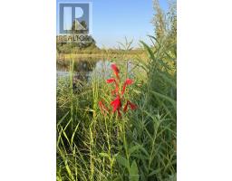 12675 SIXTEEN MILE ROAD - 36