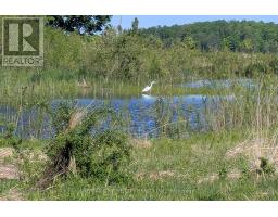 12675 SIXTEEN MILE ROAD - 37