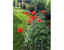 993 GABOR STREET - 45