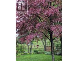 993 GABOR STREET - 46