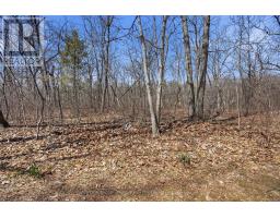 8816 TIMBERWOOD TRAIL - 46