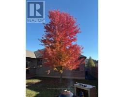 23 MAYAPPLE CRESCENT - 40