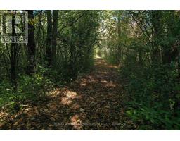 13157 MEDWAY ROAD - 17